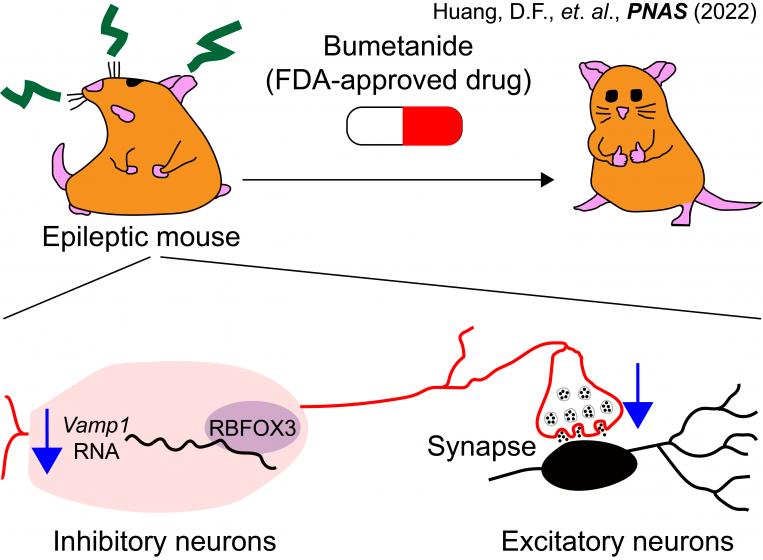 PNAS (2022)